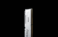 Kingston Fury 1