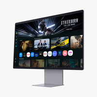 Samsung Monitor Desktop 13