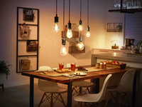 Gamma Hue - Hue White Filament Lamp A60 E27 40w