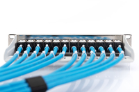 Digitus 1
