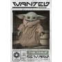 Star Wars - Star Wars: The Mandalorian (wanted The Child) Maxi Poster