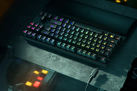 Razer 6