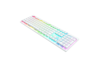 Razer 1