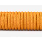 GLORIOUS - PC Gaming Race Ascended Cable V2 - Glorious Gold (G-ASC-GOLD-1) [DE-Version, German Keyboard]