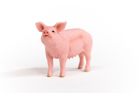Schleich 1