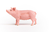 Schleich 2