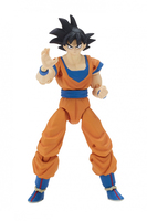 Anime Dragon Ball 6