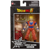 Anime Dragon Ball 13