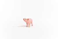 Schleich 1