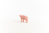 Schleich 2