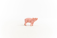Schleich 4