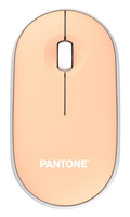 Pantone 1