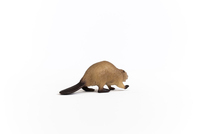 Schleich 2