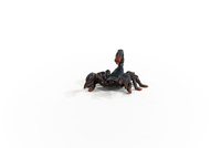 Schleich 5