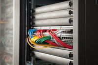Digitus 4