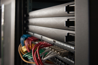 Digitus 5
