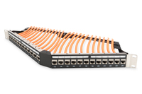 Digitus 17