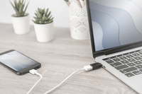Digitus Assmann - Usb-adapter - Usb Typ C (m) - Bis - 9-poli 9