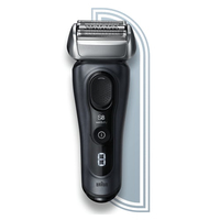 Braun 1