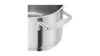 Zwilling 1