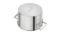 Zwilling 2