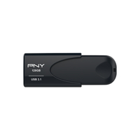 Pny Electronics 1