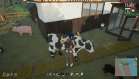 Merge Games 9