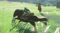 Nintendo 12