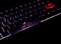 Ducky 7