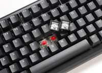 Ducky 3