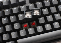 Ducky 3