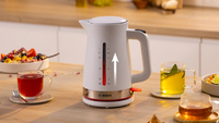 Bosch 10