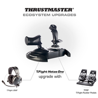 Thrustmaster 10