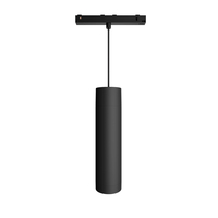 Signify Philips - Philips Hue White and colour ambience Perifo cylinder pendant