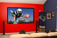 Elite Screens 1