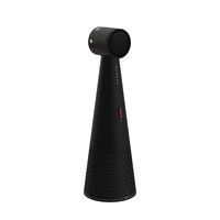 Ipevo 21