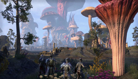 Mmorpg 3