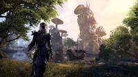 Mmorpg 4