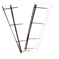 Pettini Per Rilegatrici 2