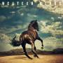 Western Stars 1