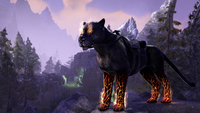 Mmorpg 4