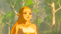 Nintendo 15