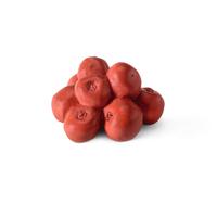 Schleich 35