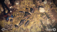 Gioco Di Ruolo (rpg) 17
