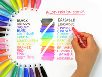 Pilot 2