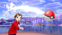 Nintendo 24