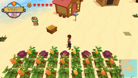 Gioco Di Ruolo (rpg) 2