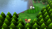 Nintendo 5