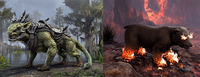 Mmorpg 1