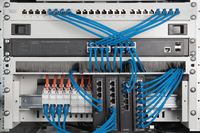 Digitus 1